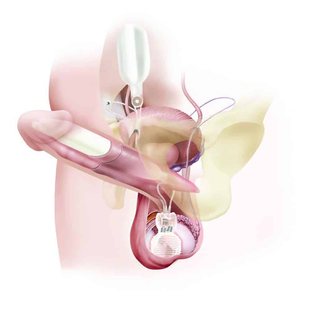penis titan touch