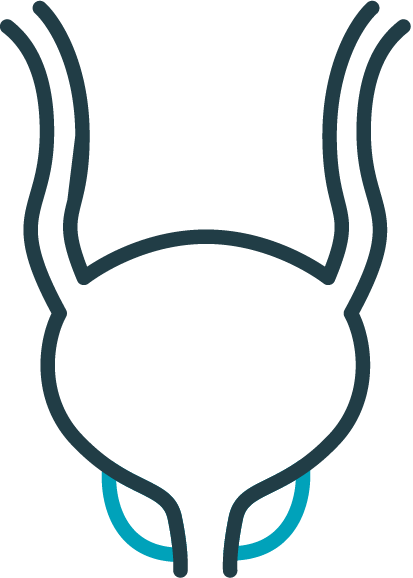 icon-bladder-cropped